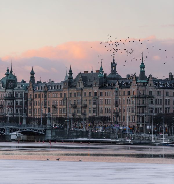 10 Stockholmslopp du inte vill missa 2019